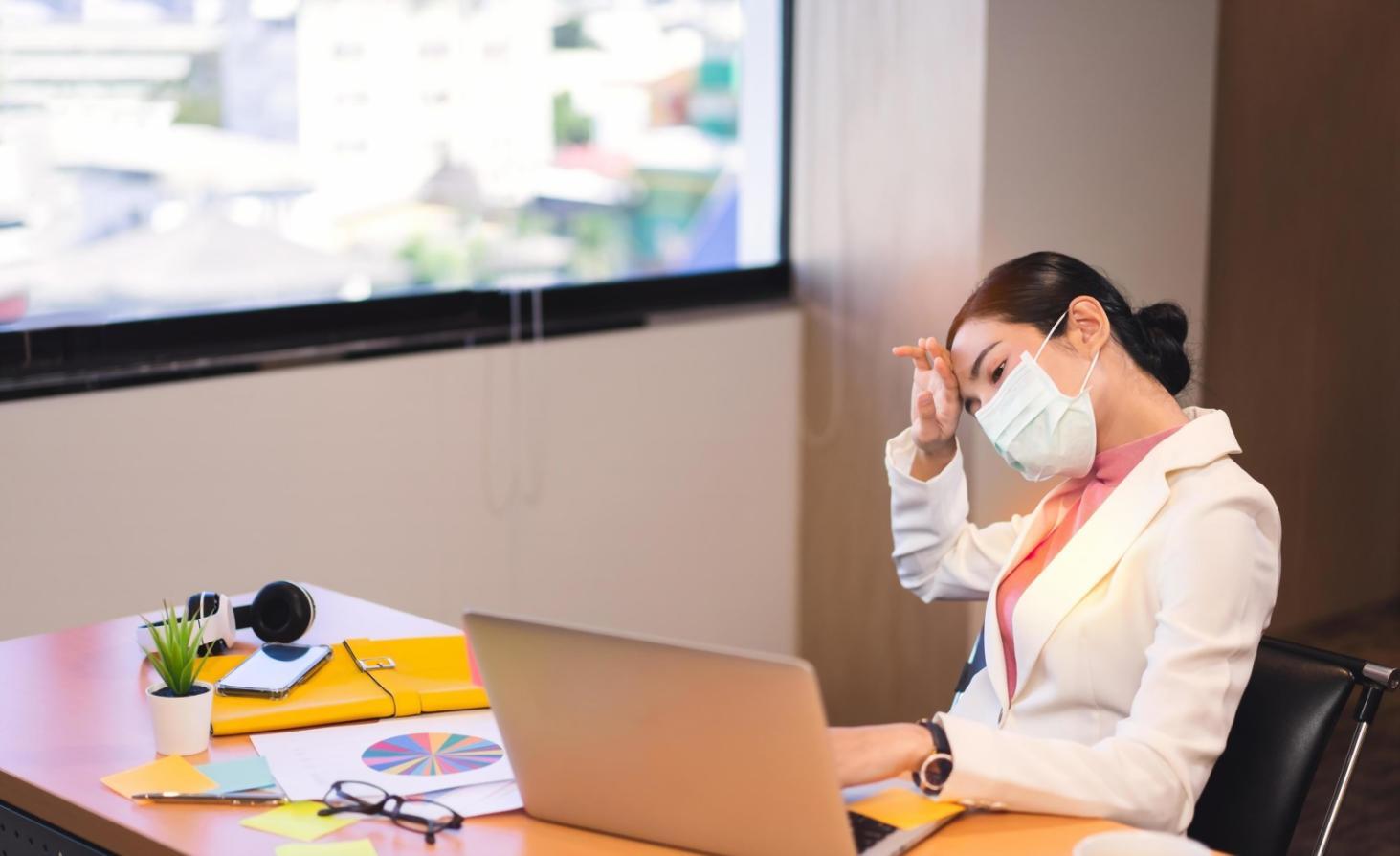 Analytische Darstellung strukturierter Lernmaterialien zur On-Page-Optimierung